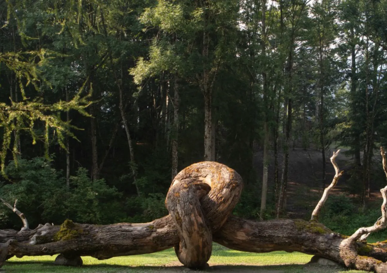 Premio Human Positive Artesella