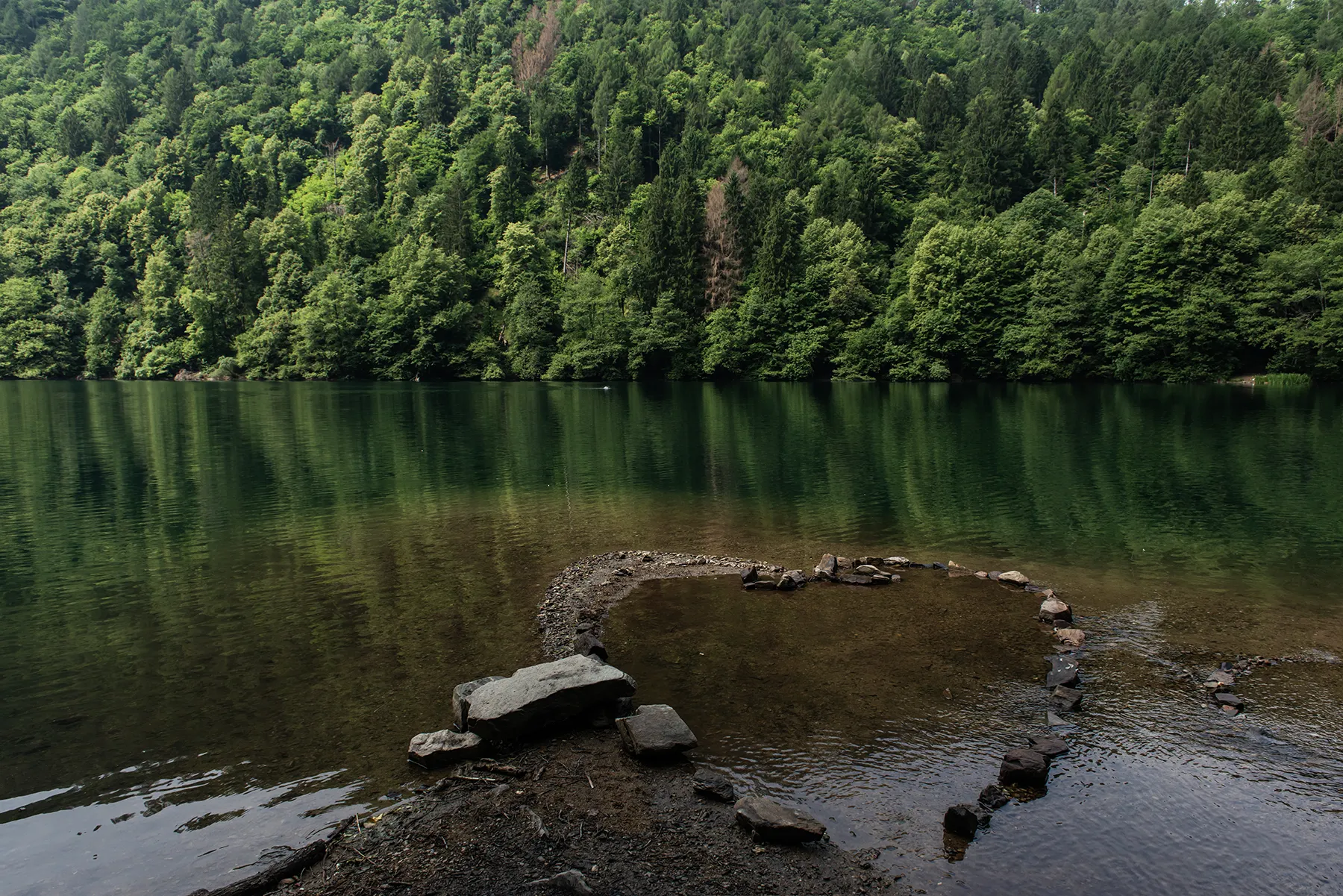 Premio Human Positive lago di Levico