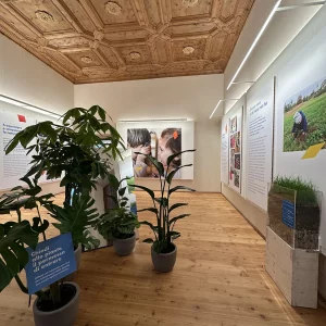 Ecofilia