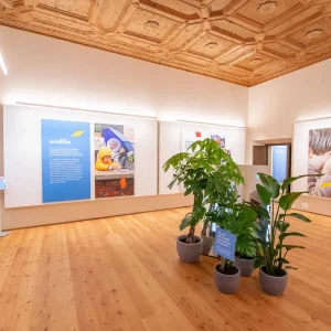 Mostra_prima_sala